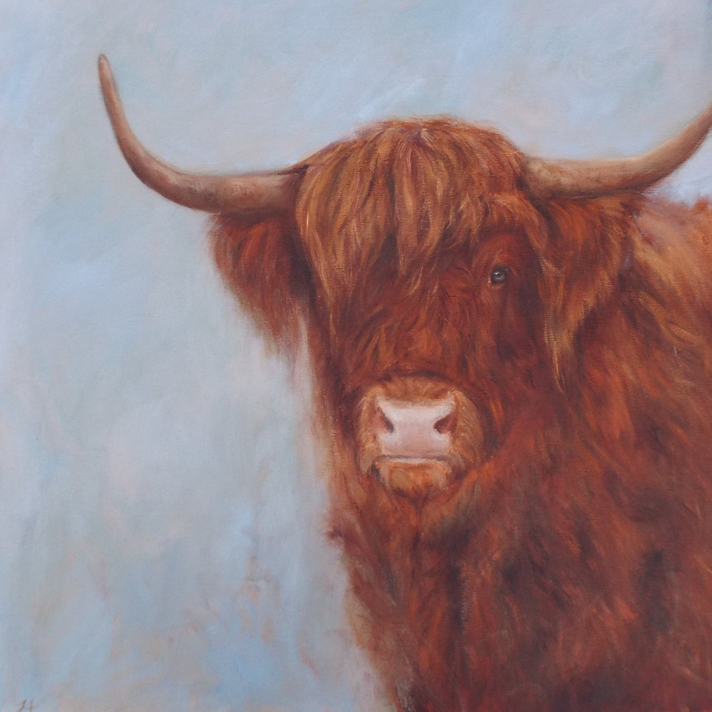 Highland Cow Study - Fine Art Greetings Card