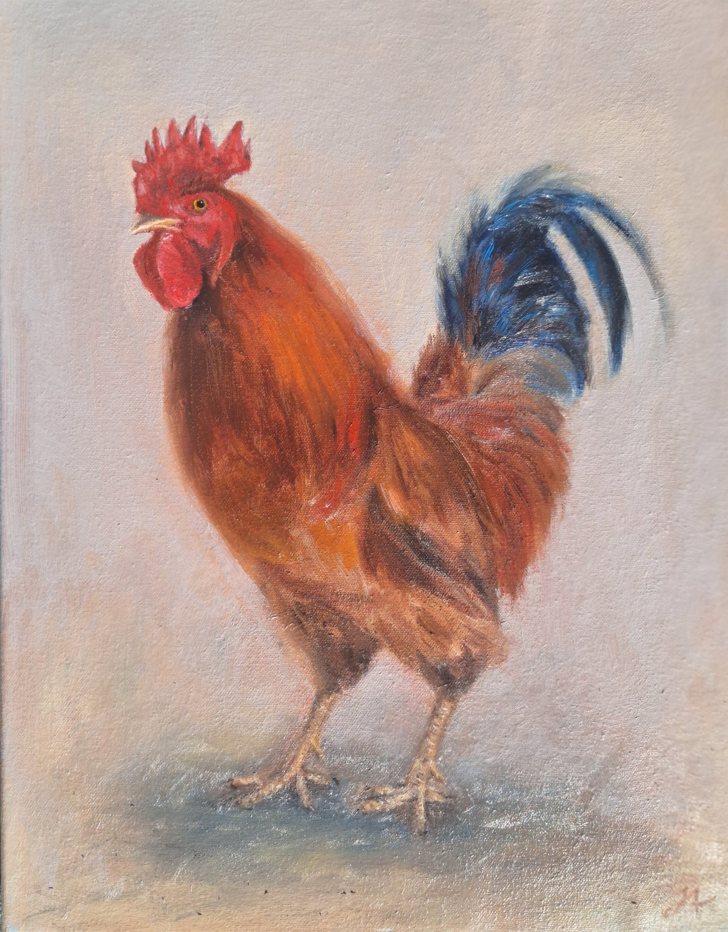 Rooster Study - Fine Art Greetings Card