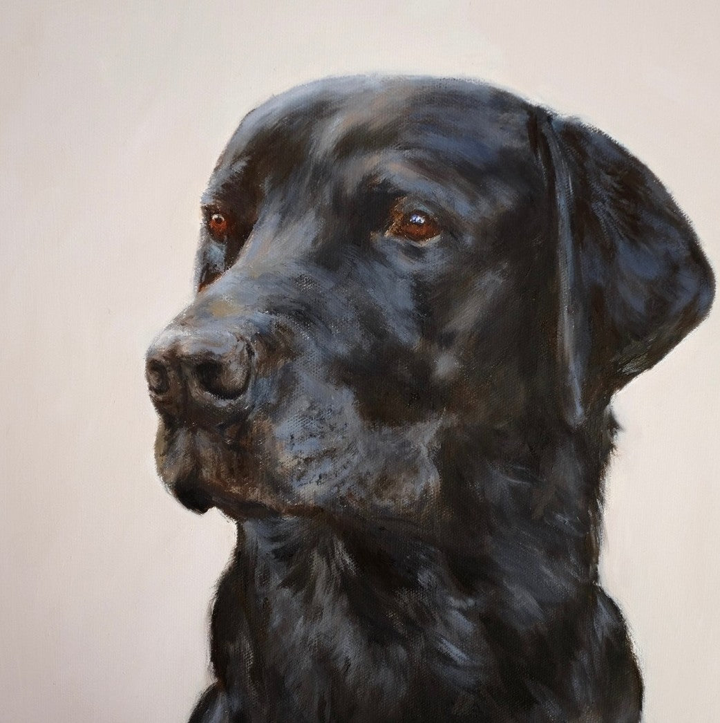 Labrador Study - Fine Art Greetings Card