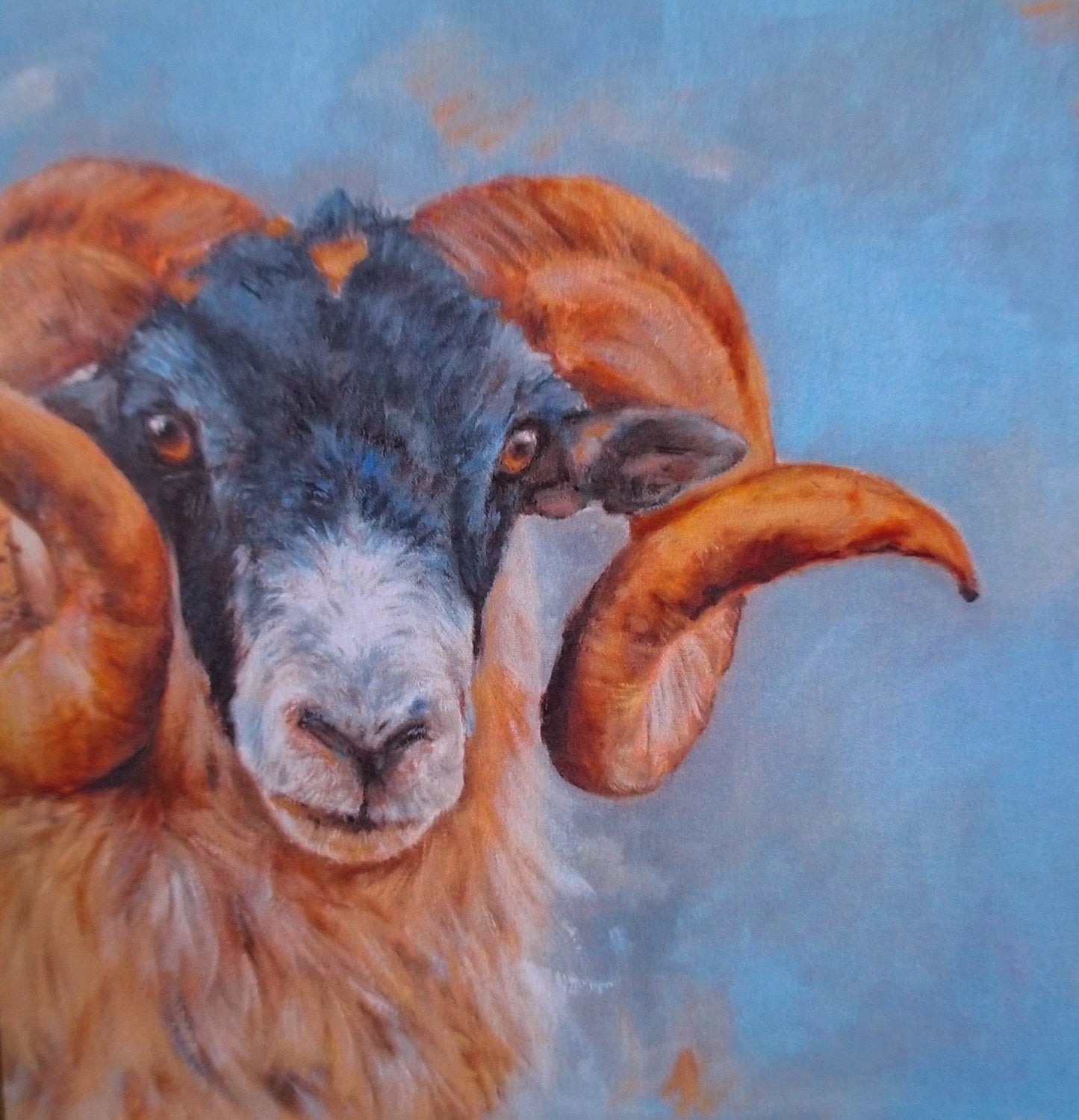 Ram Study - Fine Art Greetings Card