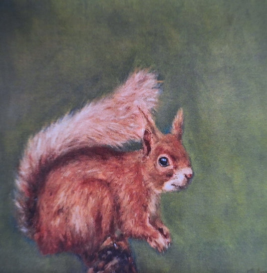 Red Squirrel Study - Fine Art Greetings Card