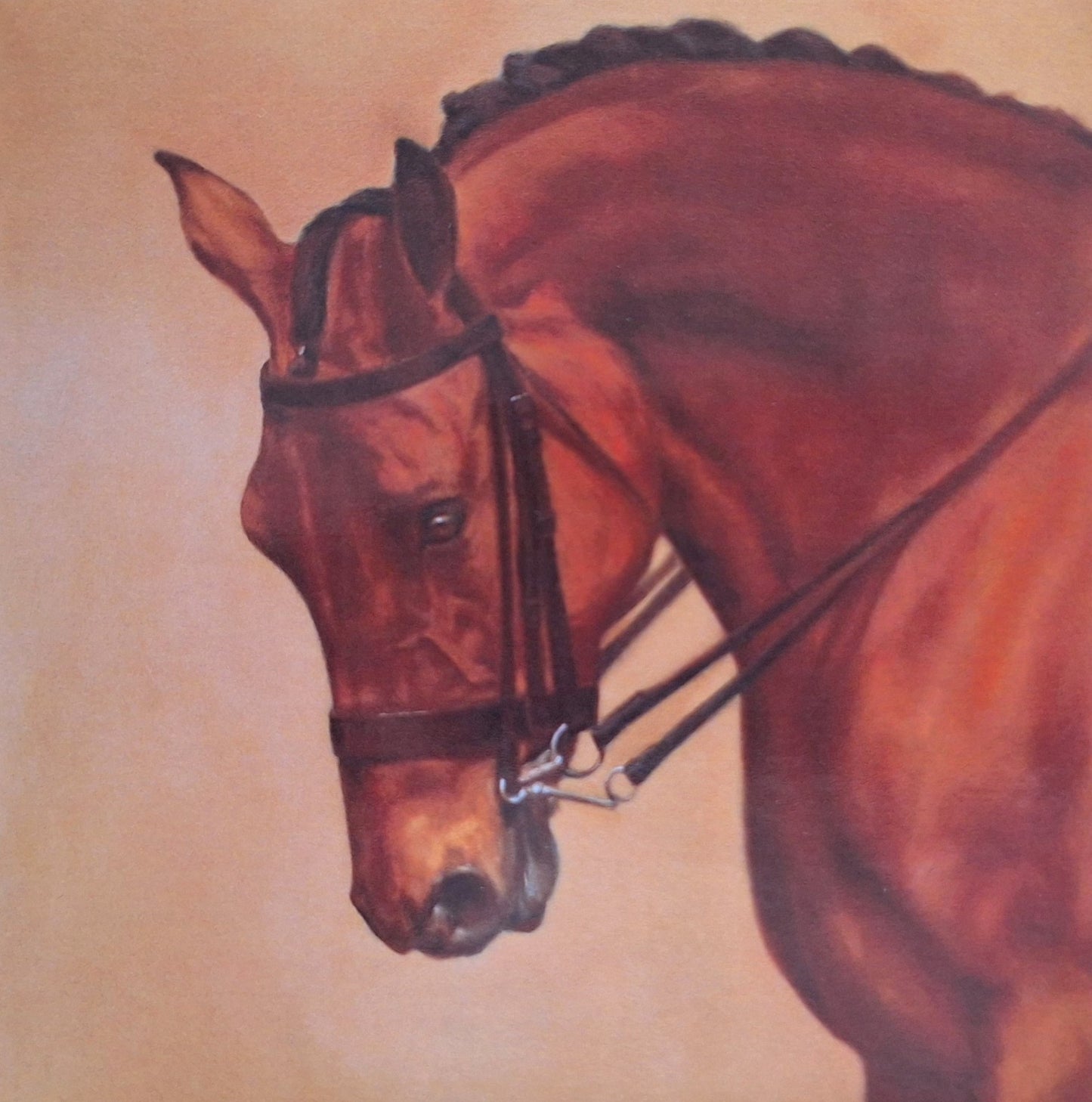 Show Hunter Study - Fine Art Greetings Card