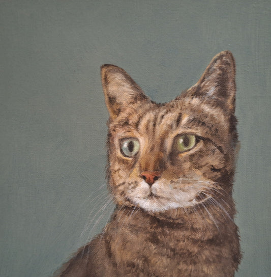 Head Study of a Tabby
