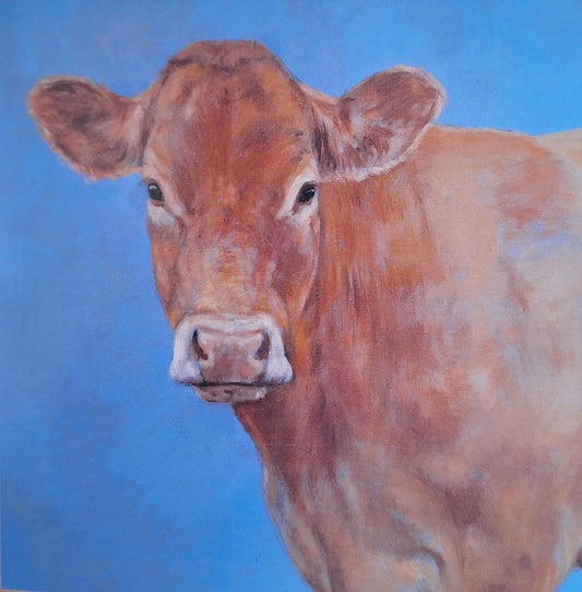 Limousin Study - Fine Art Greetings Card