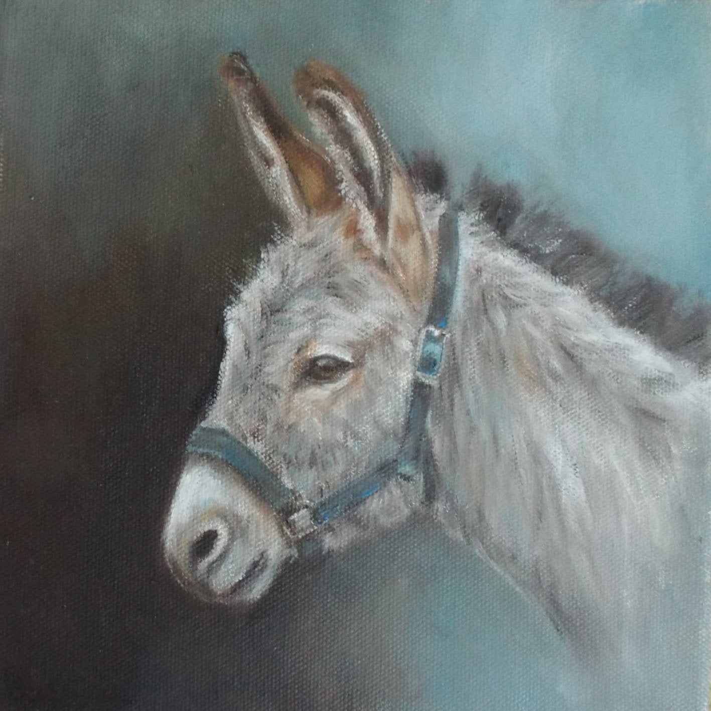 Little Donkey - Fine Art Greetings Card