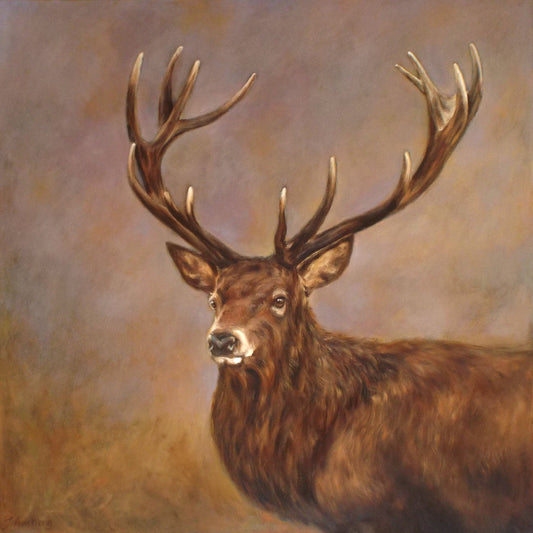 Stag Study - Fine art Greetings Card