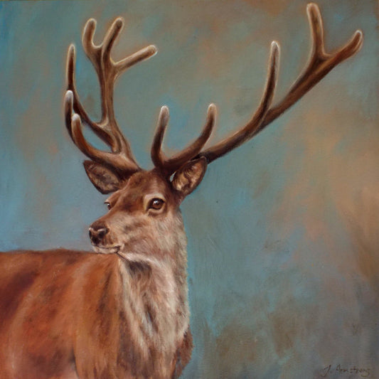 Red Deer Study - Fine Art Greetings Card