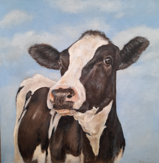 Friesian Gaze - Fine Art Greetings Card