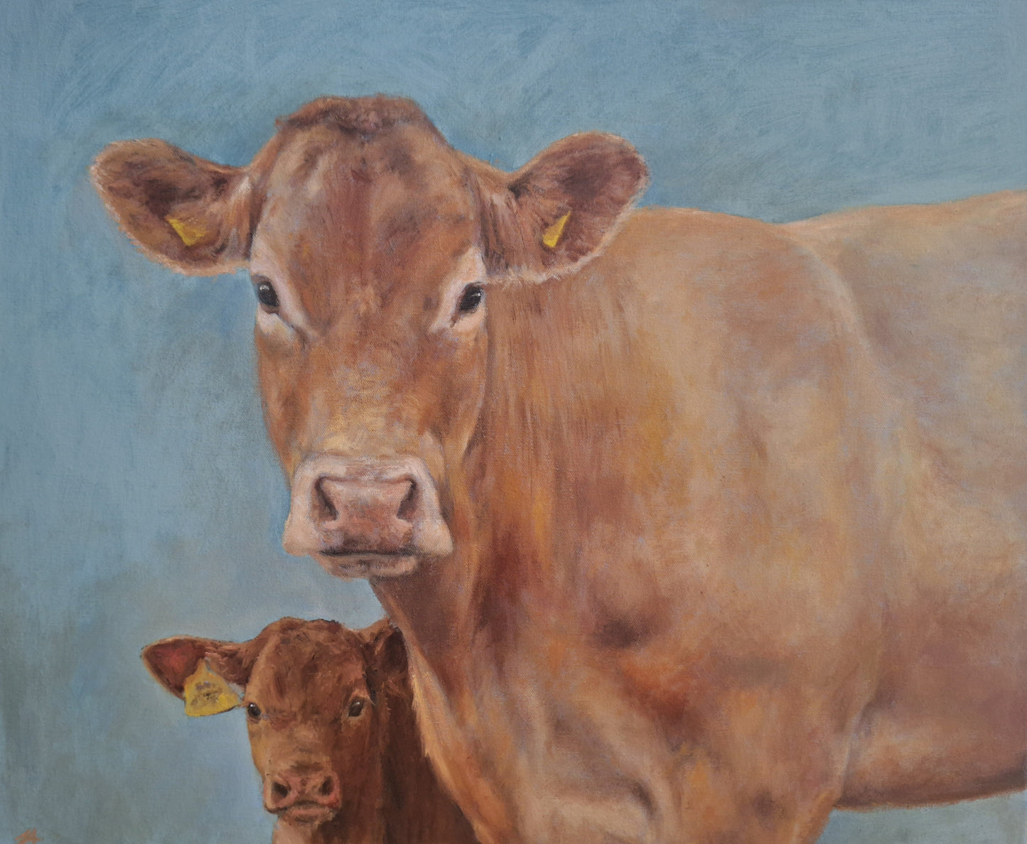 Limousin Legacy - Fine Art Giclée Mounted Print (Mount: 30 x 40cm)