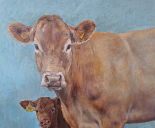 Limousin Legacy - Limited Edition Fine Art Giclée Mounted Print (Mount: 30 x 40cm)