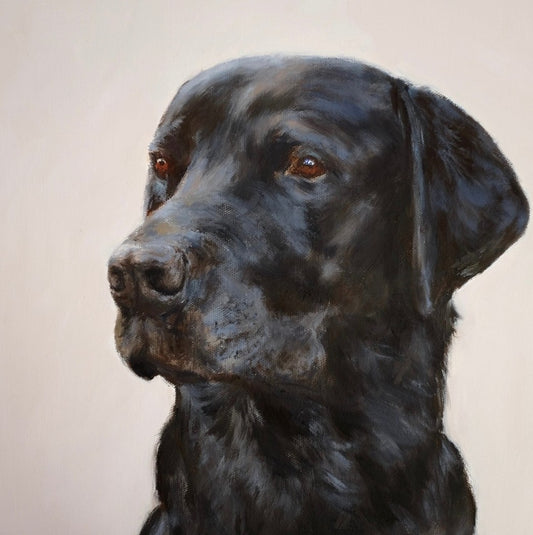 Labrador Study -  Fine Art Greetings Card